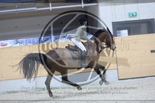 ref. photo 3516314