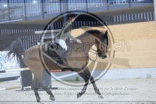 ref. photo 3516315