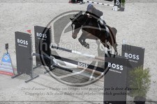 ref. photo 3516322