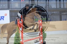 ref. photo 3516330