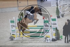 ref. photo 3516340