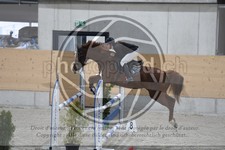 ref. photo 3516343