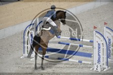 ref. photo 3516359