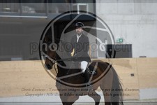 ref. photo 3516369