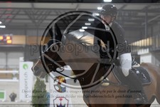 ref. photo 3516384