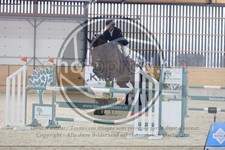 ref. photo 3516397