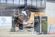 ref. photo 3516399