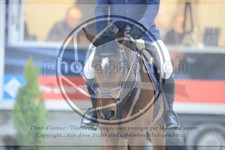 ref. photo 3516400