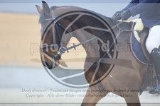 ref. photo 3516401