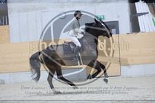 ref. photo 3516411
