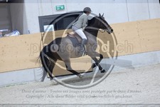 ref. photo 3516413