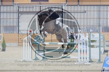 ref. photo 3516446