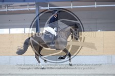 ref. photo 3516450