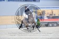 ref. photo 3516451
