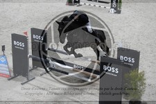 ref. photo 3516459