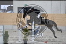 ref. photo 3516461