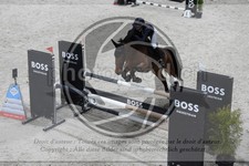 ref. photo 3516495