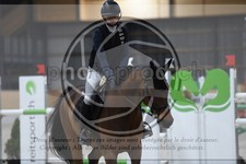 ref. photo 3516501