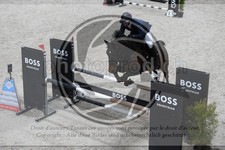 ref. photo 3516509
