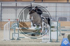 ref. photo 3516519