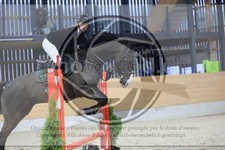 ref. photo 3516568