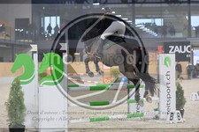 ref. photo 3516570