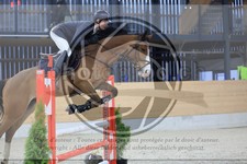 ref. photo 3516575