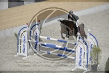 ref. photo 3516592