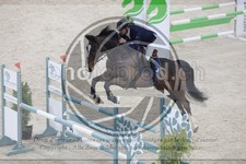 ref. photo 3516598