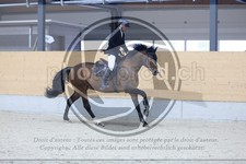 ref. photo 3516606