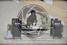ref. photo 3516610