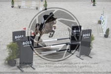 ref. photo 3516613
