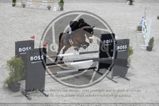 ref. photo 3516615