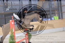 ref. photo 3516620
