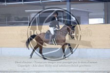 ref. photo 3516629