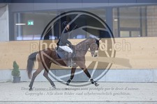 ref. photo 3516630