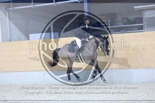 ref. photo 3516638