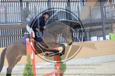 ref. photo 3516641