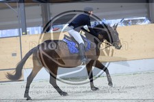 ref. photo 3516646