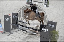 ref. photo 3516655