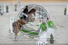 ref. photo 3516658