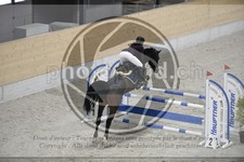 ref. photo 3516676