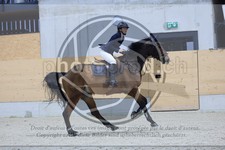 ref. photo 3516699