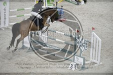 ref. photo 3516715