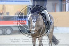 ref. photo 3516735