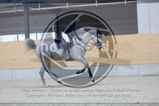 ref. photo 3516741