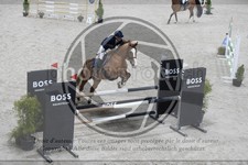 ref. photo 3516746