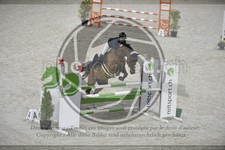 ref. photo 3516754