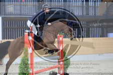 ref. photo 3516758