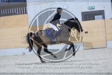 ref. photo 3516773
